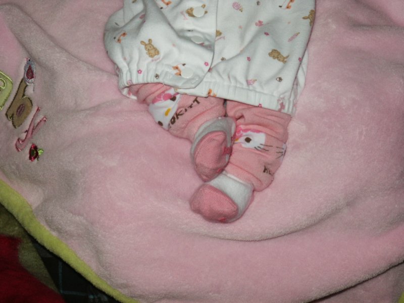 pict0006.jpg
