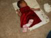 pict0047_small.jpg