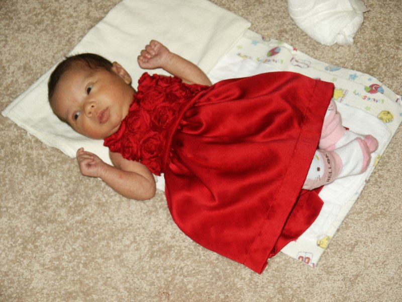 pict0048.jpg