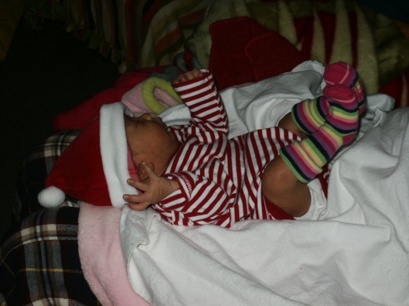 pict0068.jpg