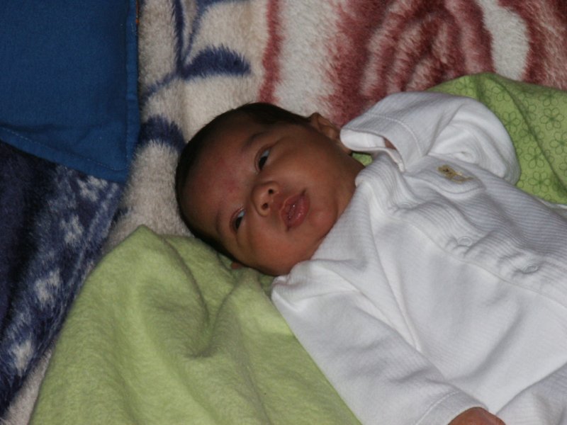 pict0090.jpg