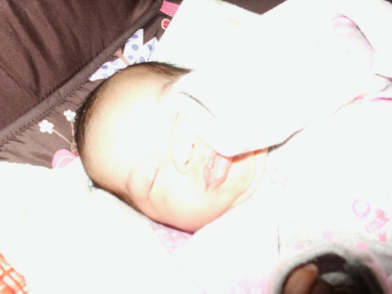 pict0092.jpg