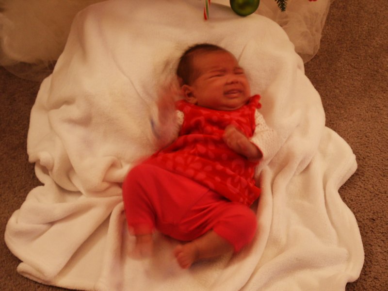 pict0132.jpg