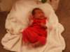 pict0132_small.jpg