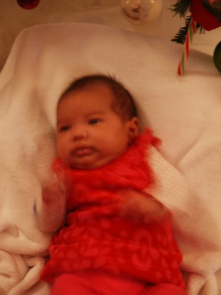 pict0141.jpg