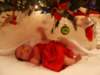 pict0169_small.jpg