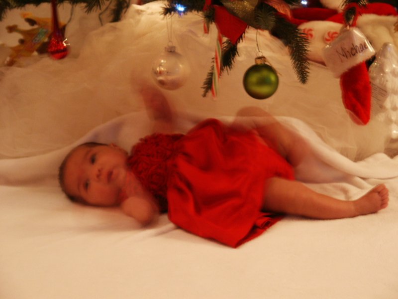 pict0170.jpg
