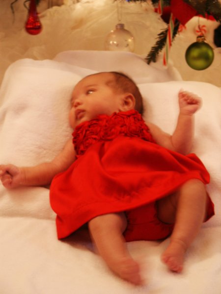 pict0174.jpg