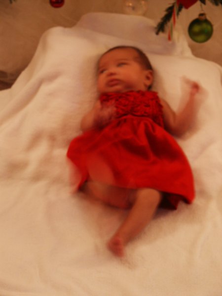 pict0179.jpg