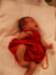 pict0180_small.jpg