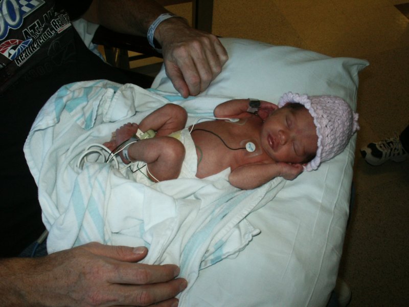 pict0275.jpg