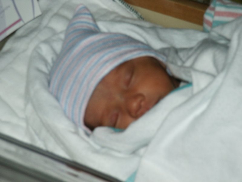 pict0289.jpg