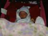 pict0299_small.jpg