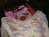 pict0301_small.jpg