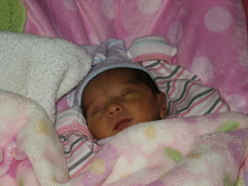 pict0308.jpg
