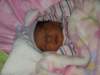 pict0311_small.jpg