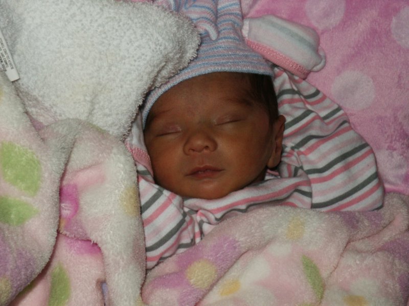 pict0312.jpg
