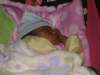 pict0313_small.jpg