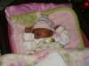 pict0339_small.jpg
