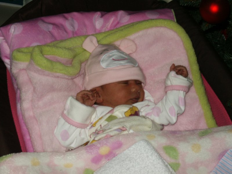 pict0340.jpg