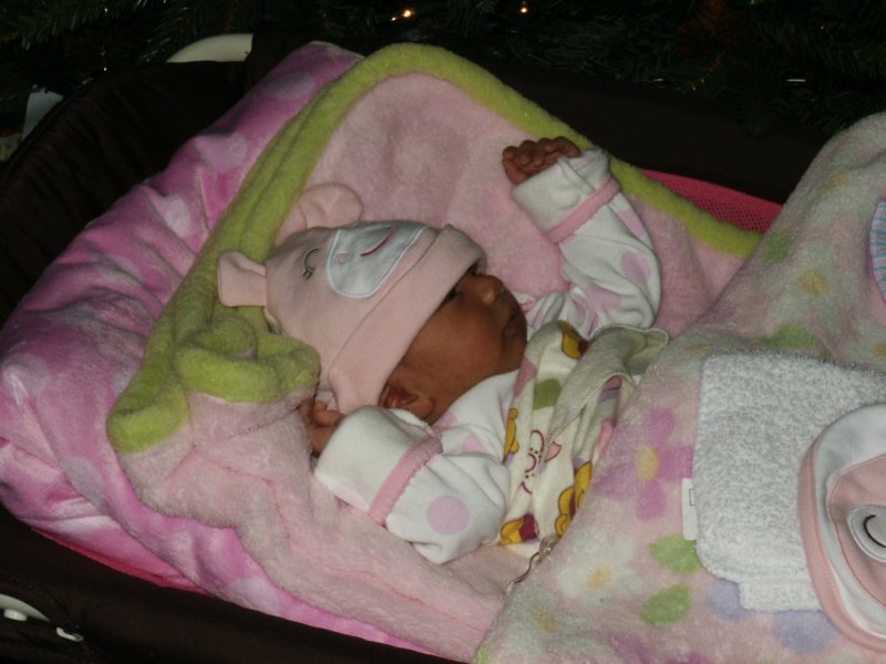pict0341.jpg