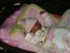 pict0341_small.jpg
