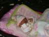 pict0342_small.jpg