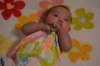_shoot117_small.jpg